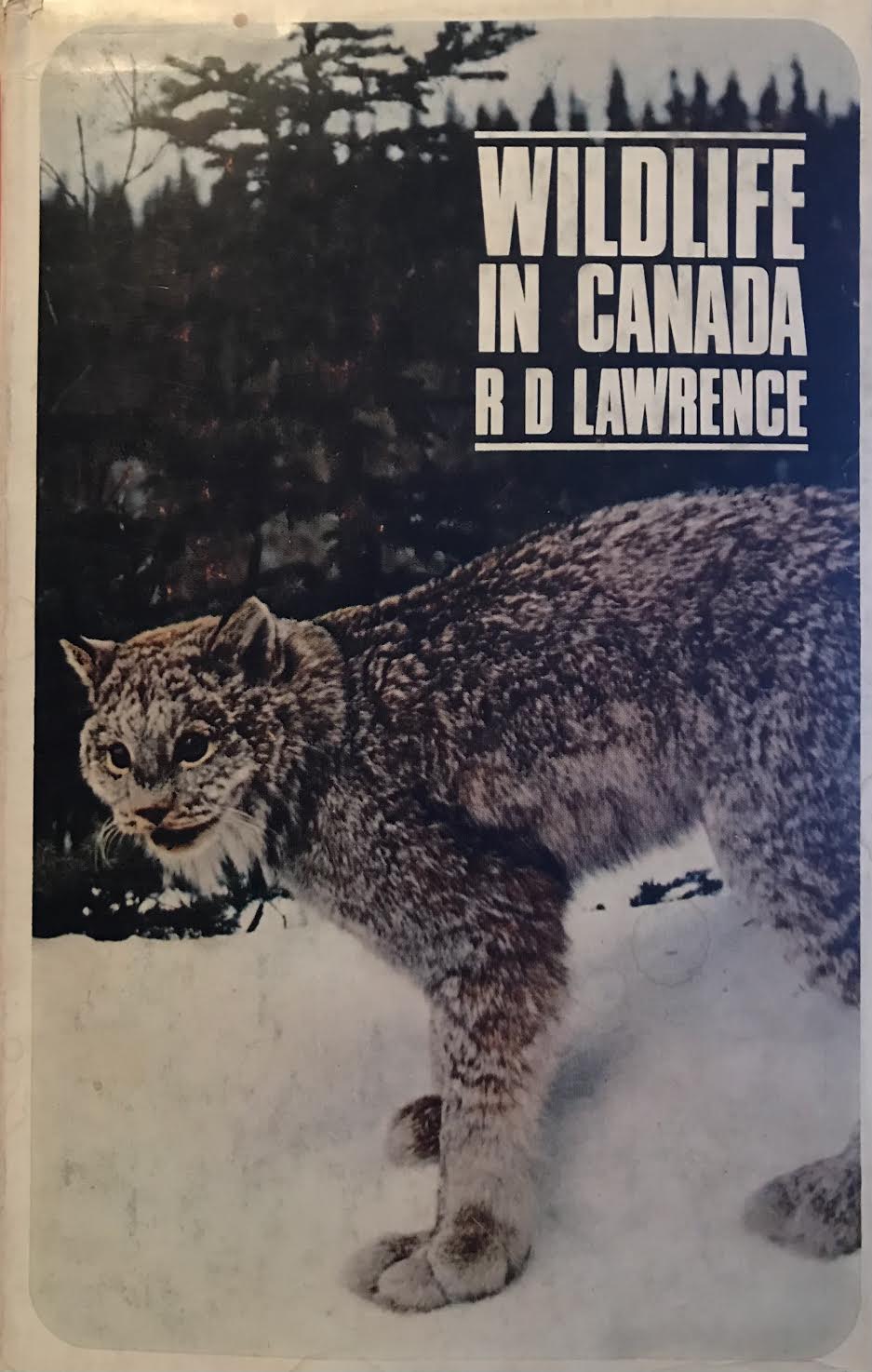 Books – Cry Wild